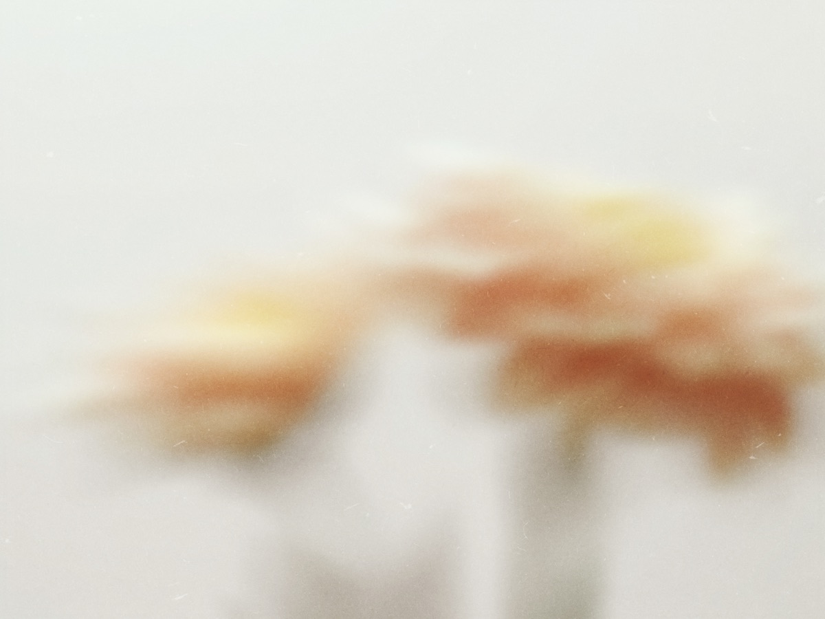Cover image — Edition 01