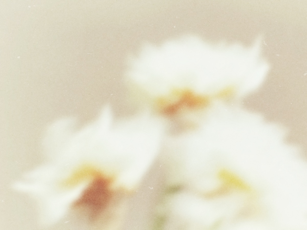 Cover image — Two Sams